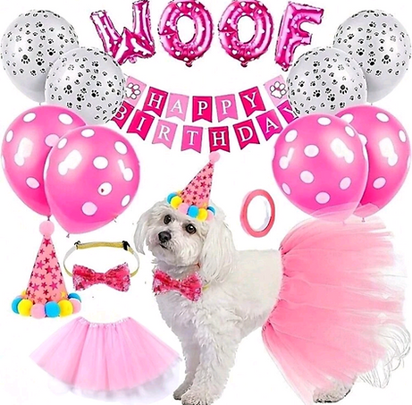 Pawty time
