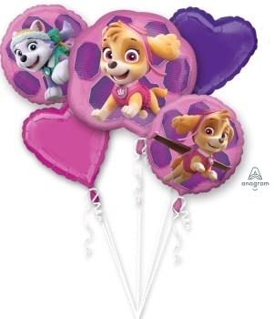 BOU:Paw Patrol Skye and Everest