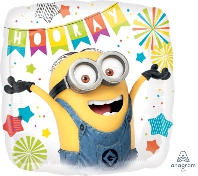 18:Dispicable Me Party