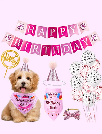 Pawty birthday set